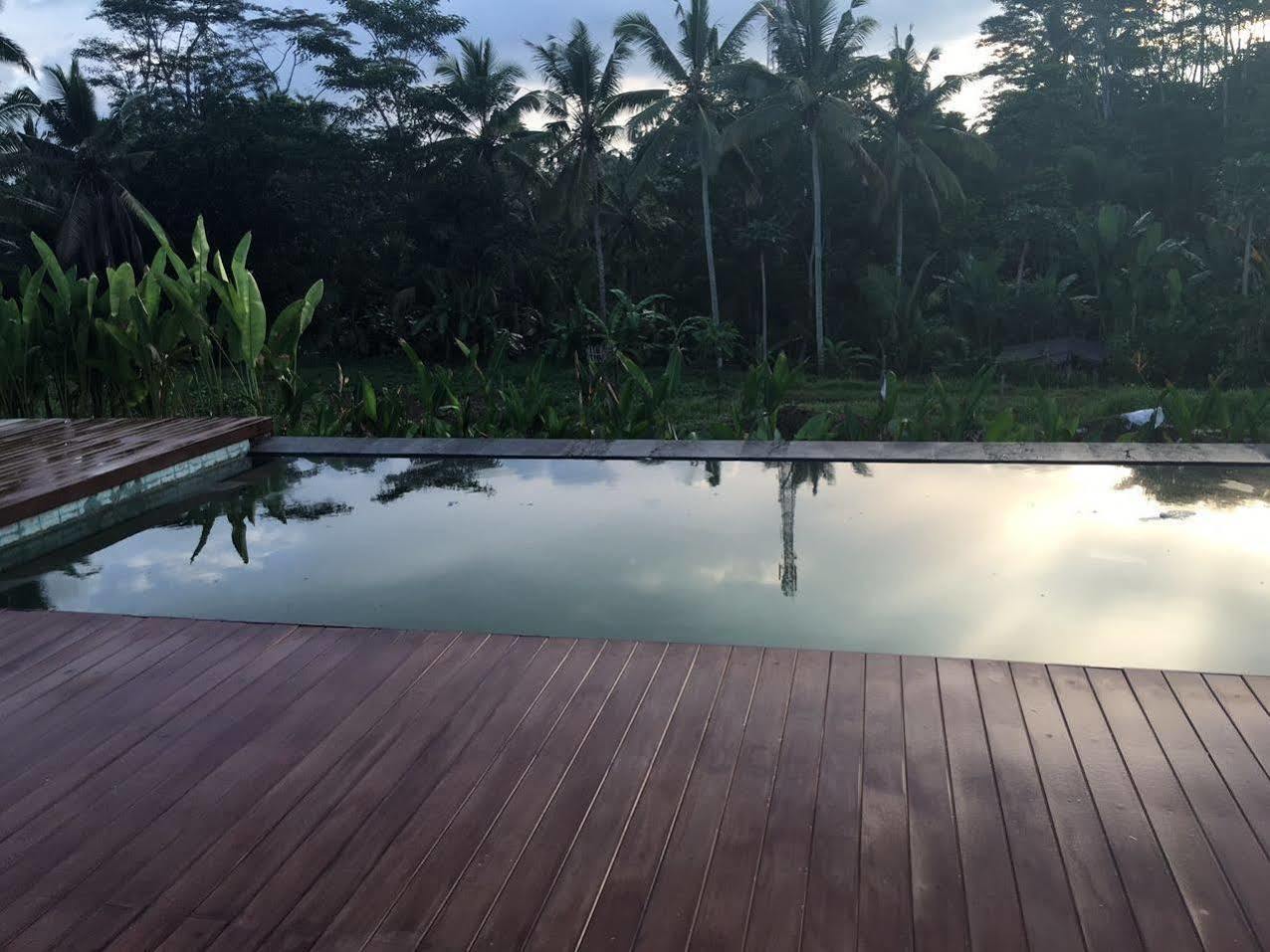 Villa Tegal Tis Ubud Паянган Экстерьер фото